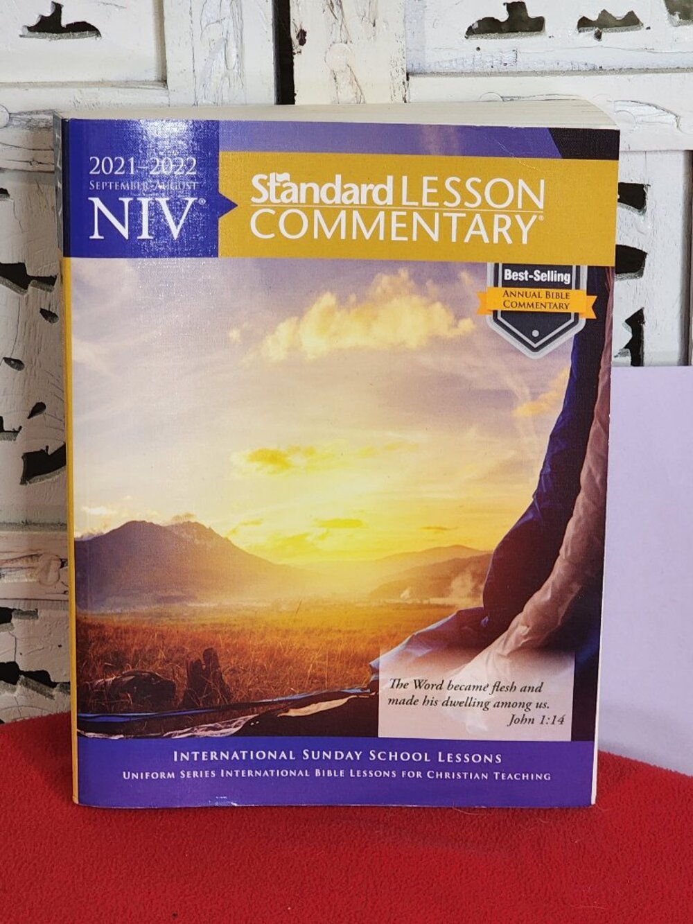 NIV Standard Lesson Commentary 2021-2022 International Sunday School Lesson Book